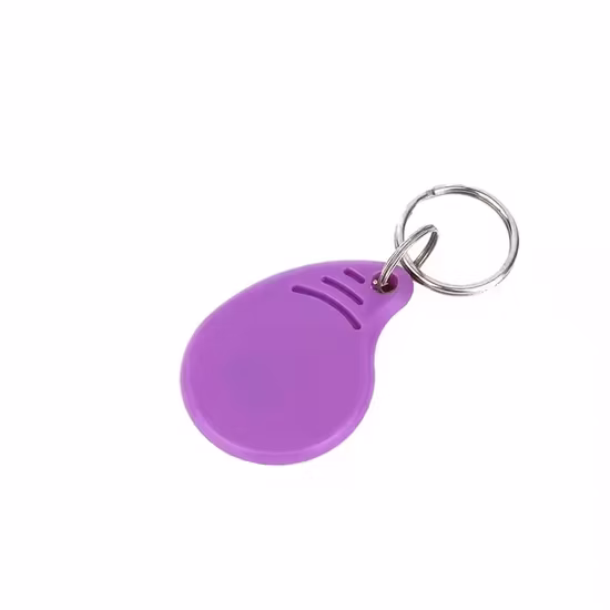 Precio barato de fábrica ABS Proximity 125kHz RFID Keyfob ID Token Key Tag